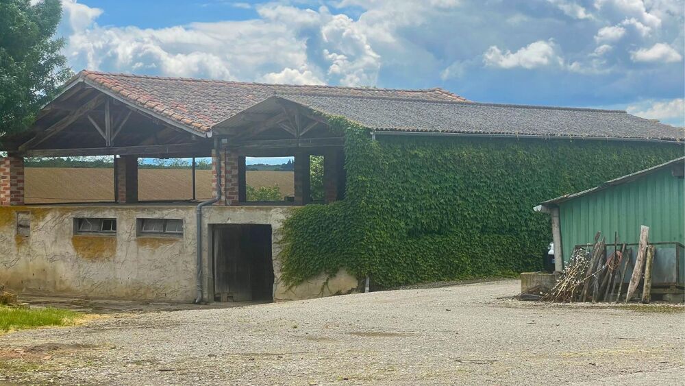 � vendre  Maison Toulouse (31000)