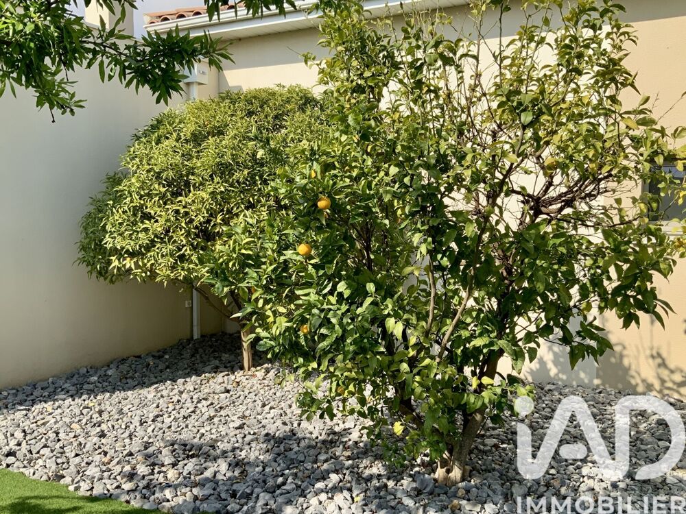 � vendre  Maison Narbonne (11100)