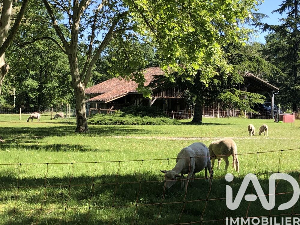 Vente Maison Vente Ferme 8 pièces Luxey