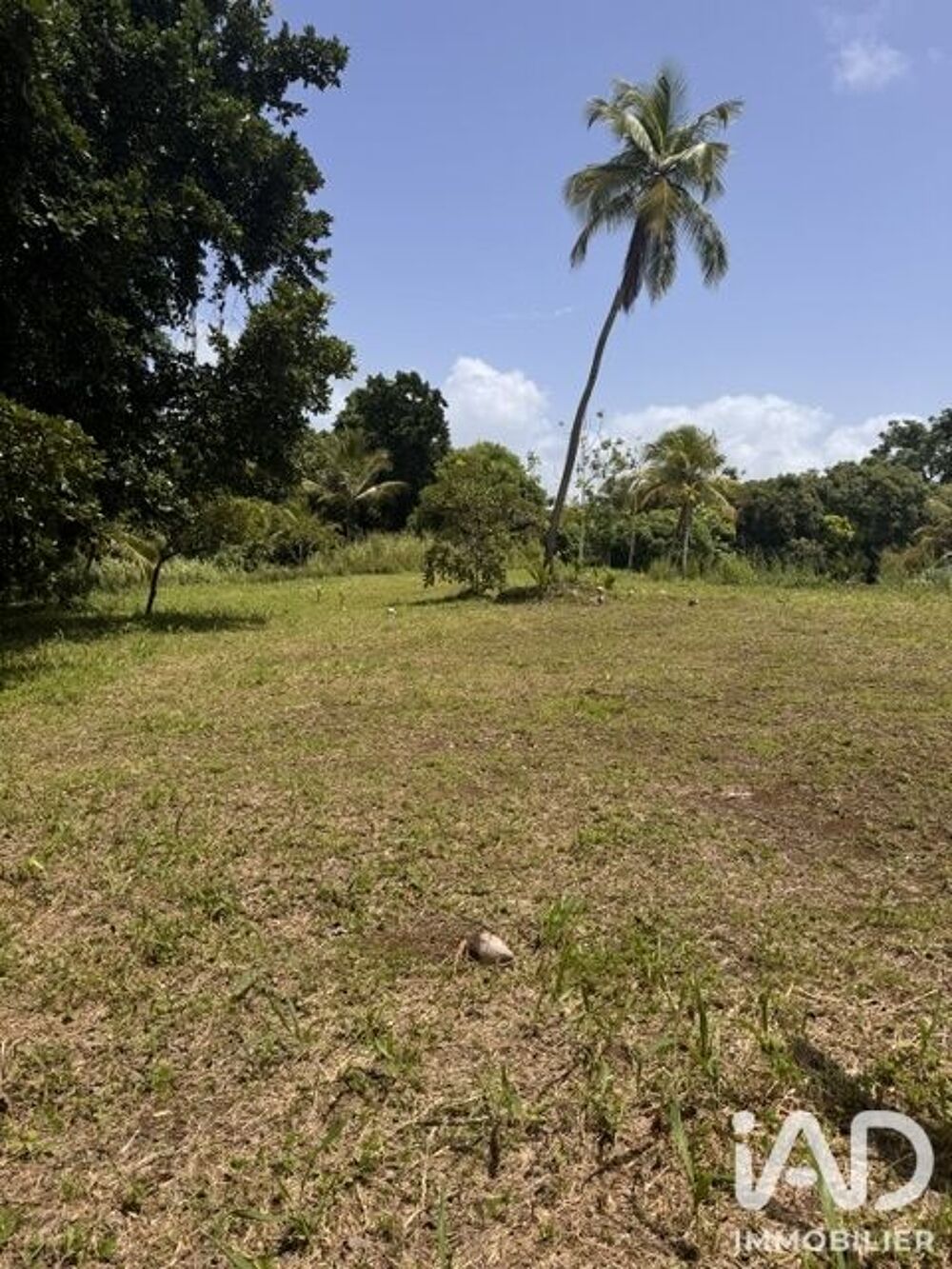 Vente Terrain Vente Terrain à bâtir 1 875 m&sup2; Petit-bourg