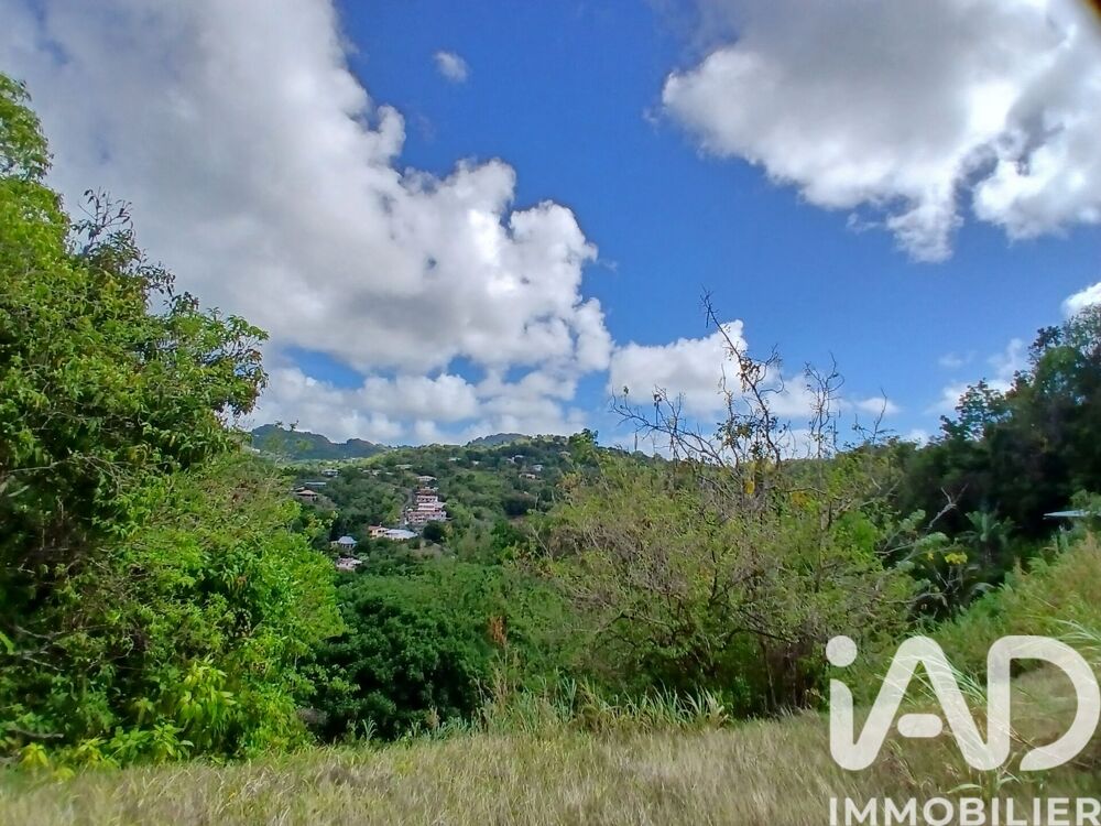 vente Terrain - 11000 m² Rivière-Pilote (97211)