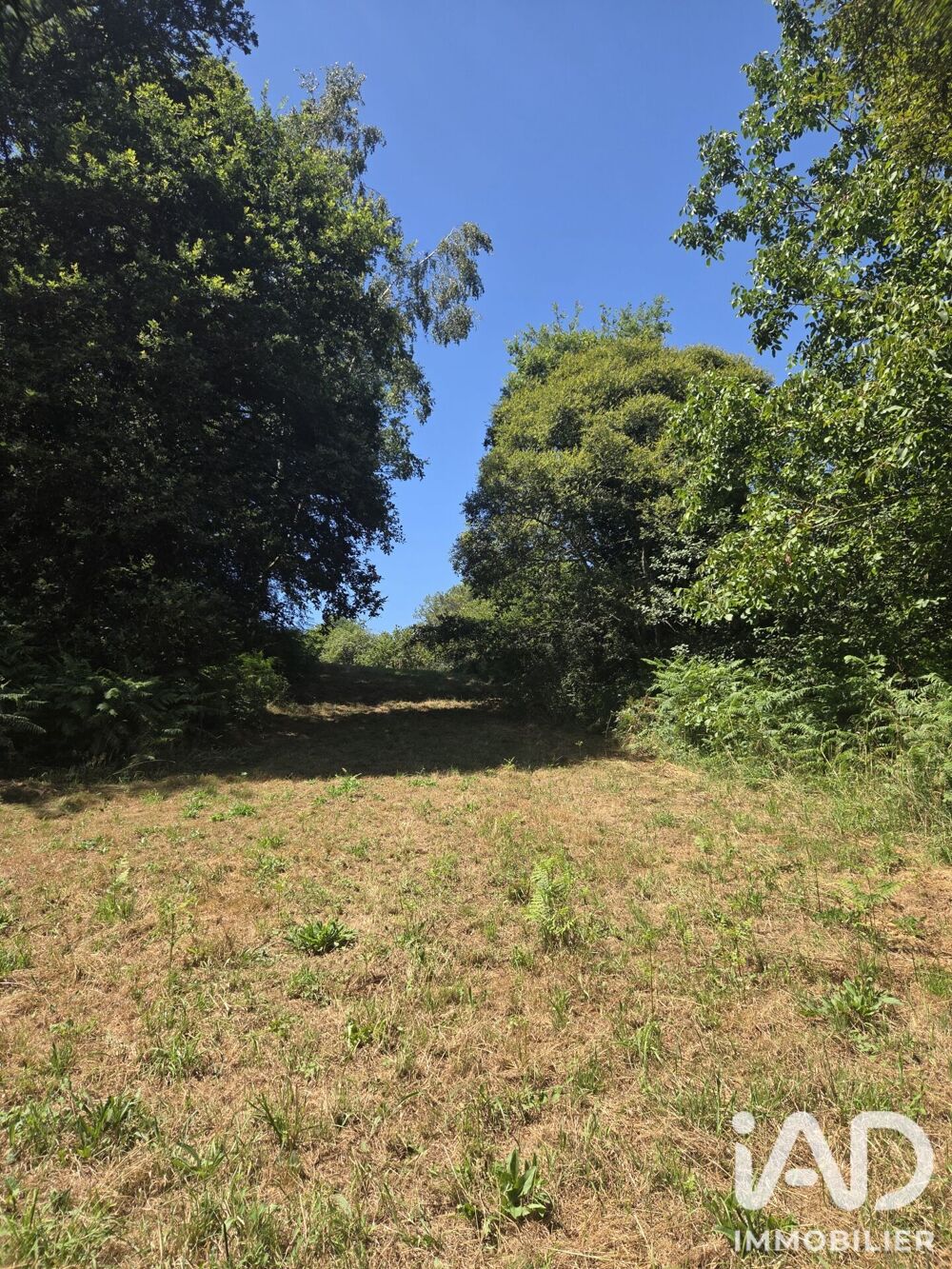 Vente Terrain Vente Terrain agricole 3 320 m&sup2; Limerzel