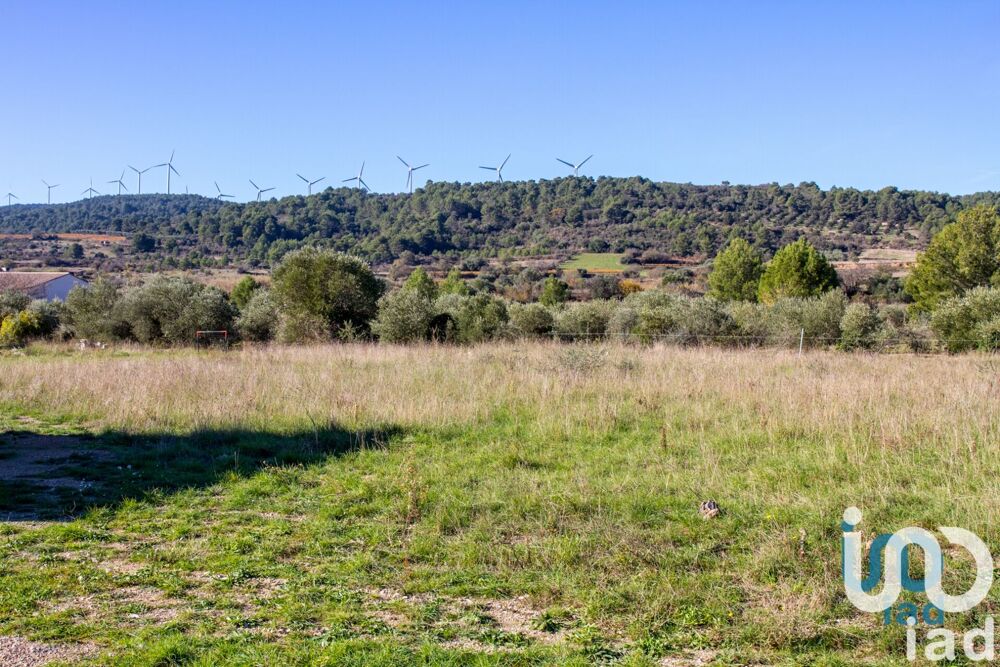 Vente Terrain Vente Terrain à bâtir 1 194 m&sup2; Mailhac