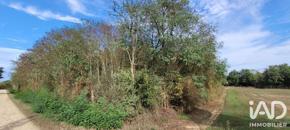 Vente Terrain Vente Terrain 12 770 m&sup2; Aizenay