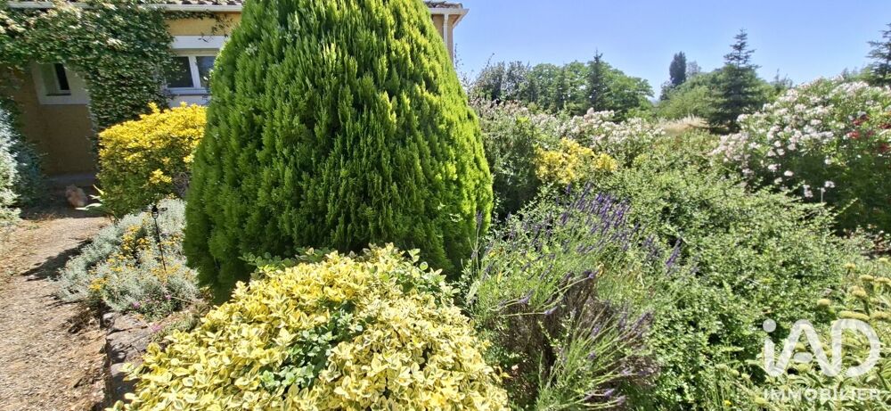 vente Maison - 6 pièce(s) - 213 m² Pomas (11250)
