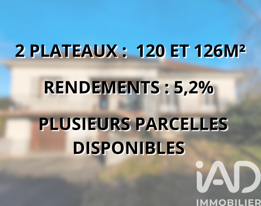 Vente Maison Vente Maison/villa 12 pièces Puy-guillaume