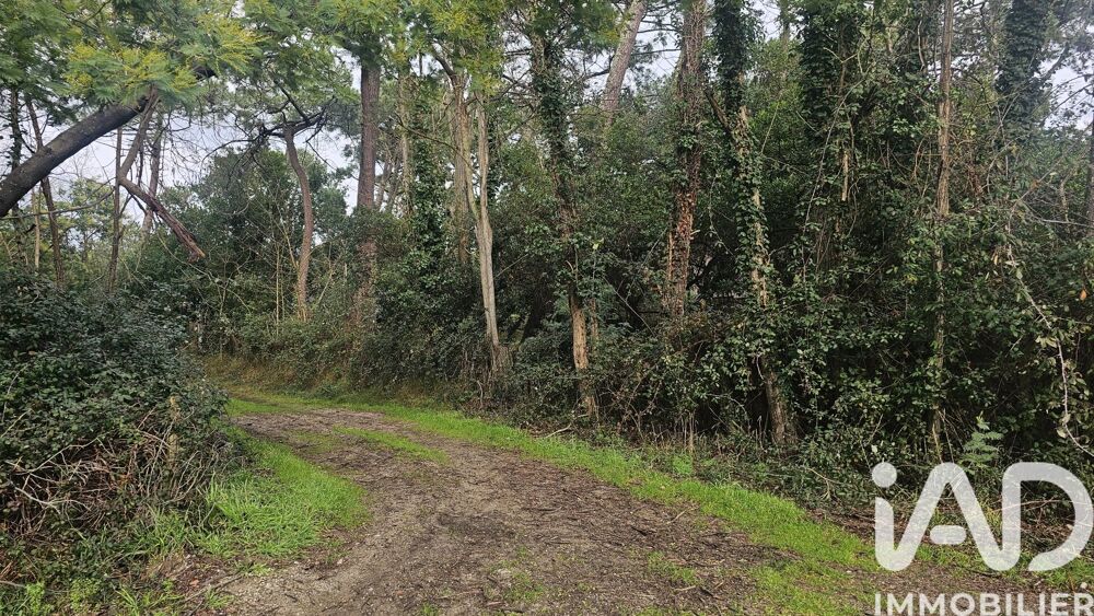 Vente Terrain Vente Terrain 760 m&sup2; Lège-cap-ferret