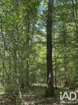  Terrain à vendre 211447 m²