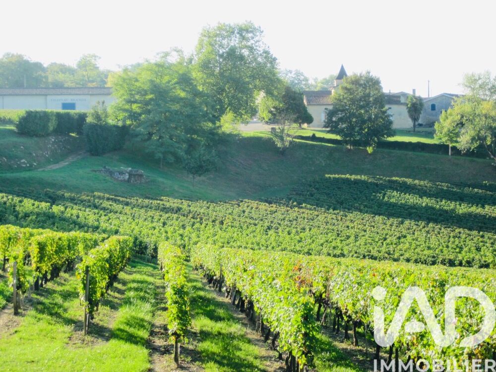 Vente Château 20 pièces