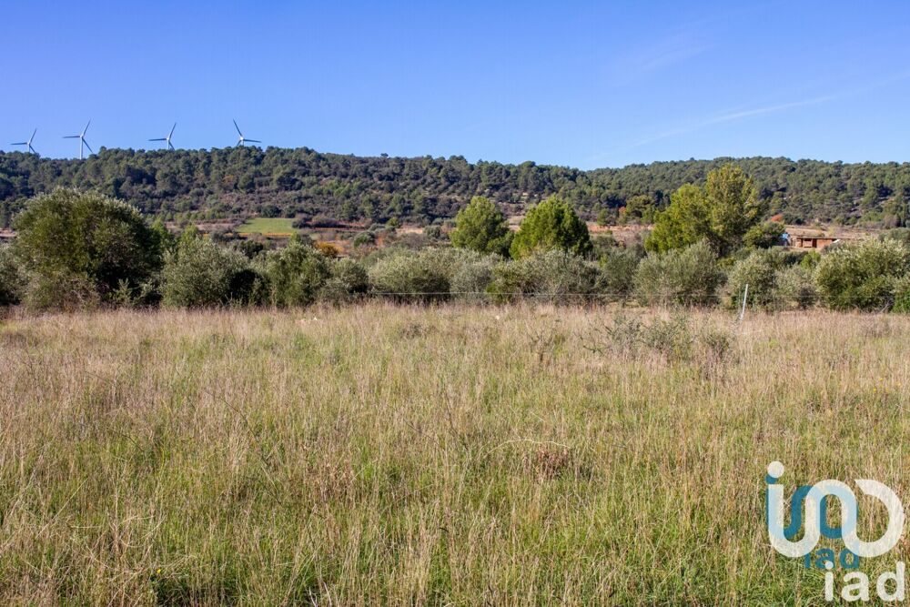 Vente Terrain Vente Terrain à bâtir 1 194 m&sup2; Mailhac