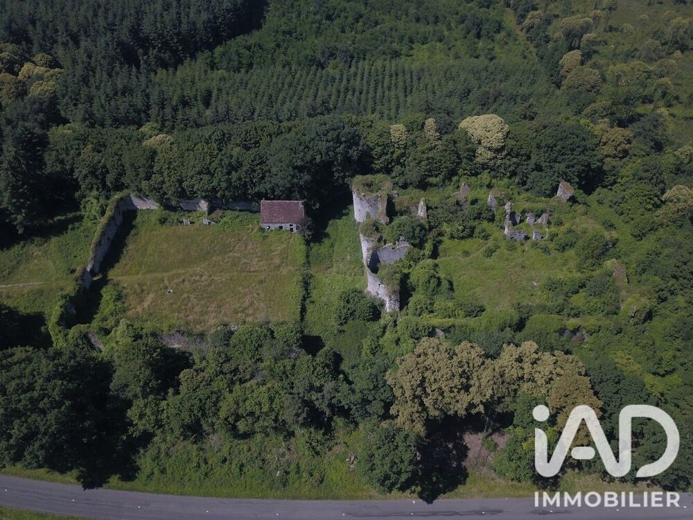 Vente Maison Vente Château 1 pièce Louan villegruis montaiguillon