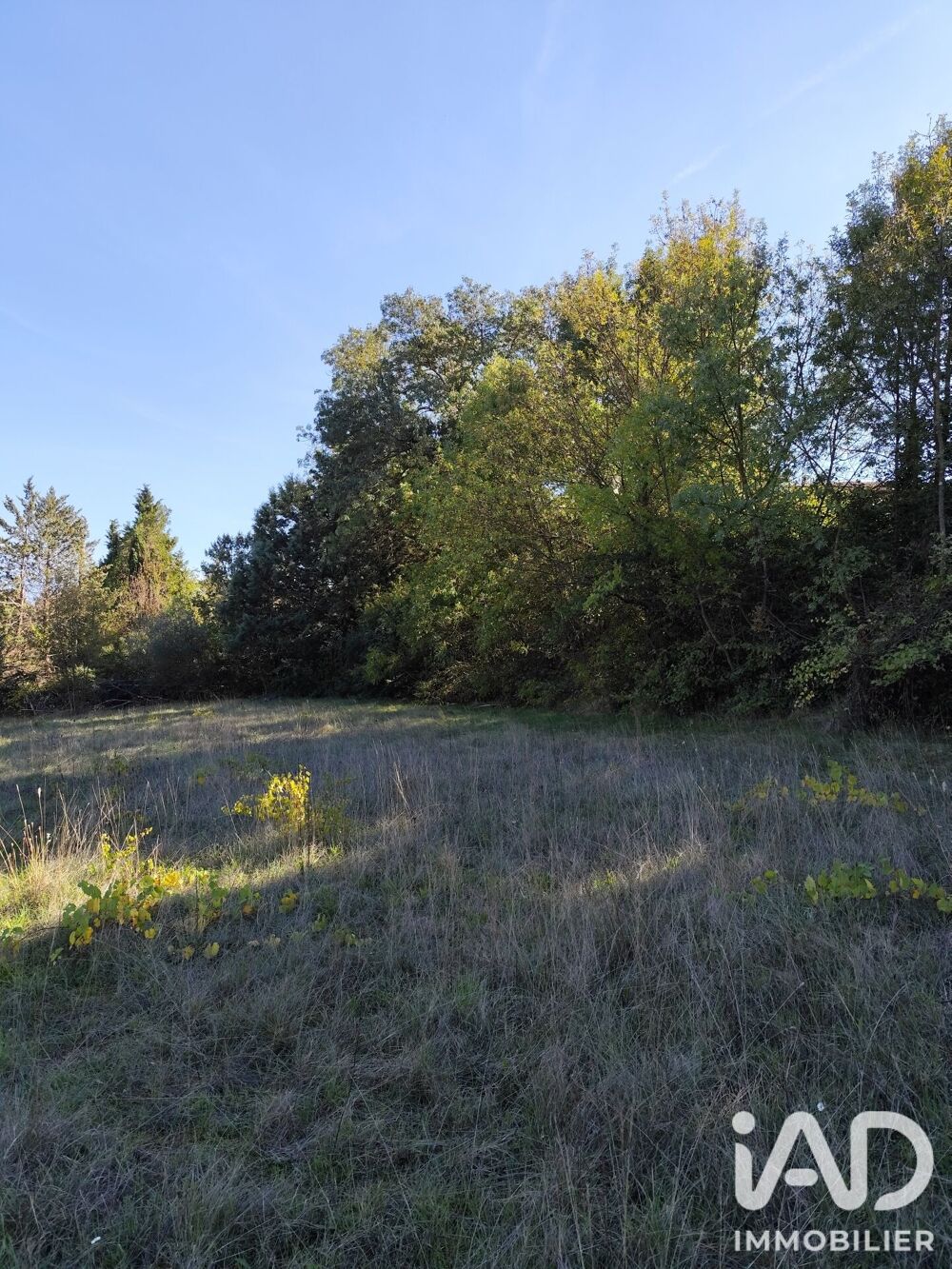 Vente Terrain Vente Terrain à bâtir 1 369 m&sup2; Crespian