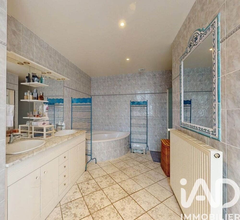 Vente Immeuble Vente Immeuble 318 m&sup2; Lisle-sur-tarn