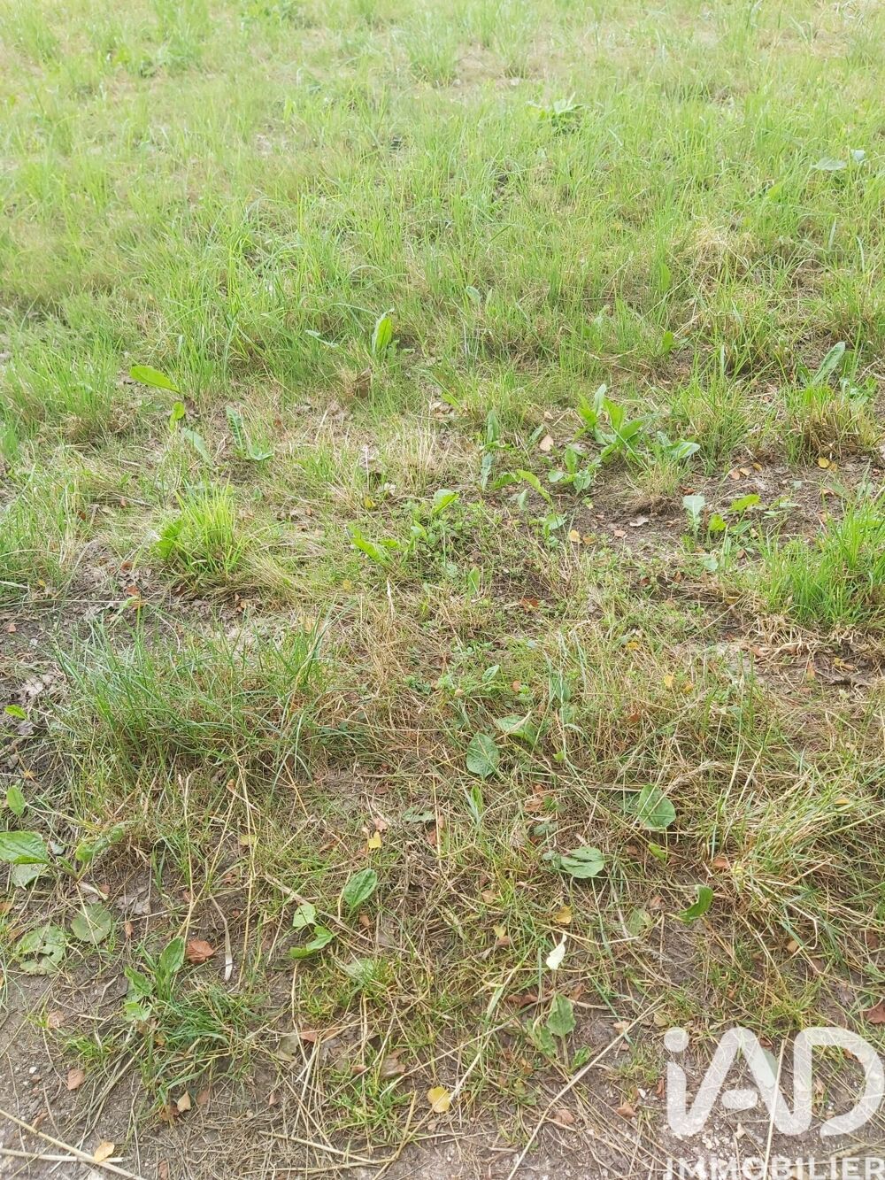 Vente Terrain Vente Terrain 1 050 m&sup2; Véron