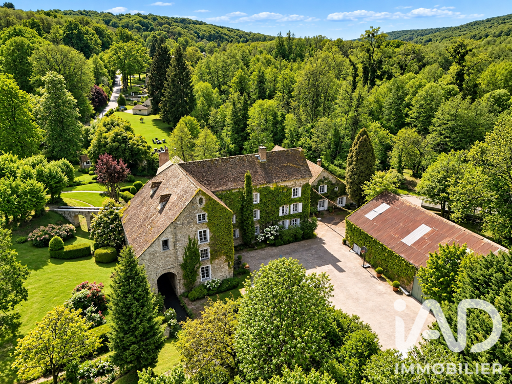 Vente Moulin 15 pièces
