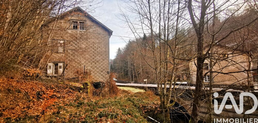 Vente Immeuble Vente Immeuble 360 m&sup2; Plombières-les-bains