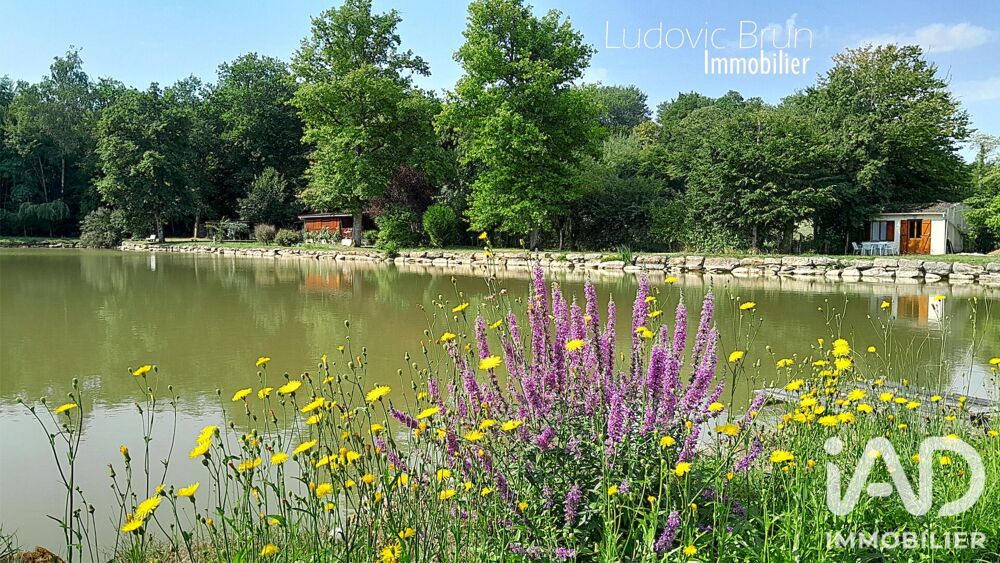 Vente Terrain Vente Terrain 25 394 m&sup2; Saints-en-puisaye