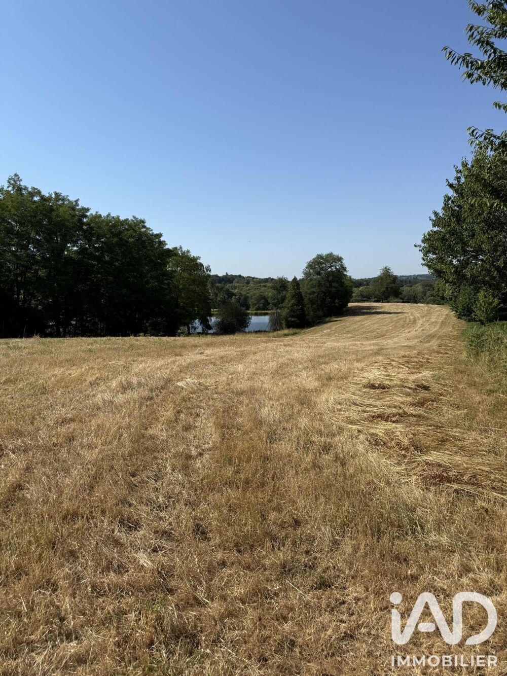 vente Terrain - 43080 m² Bussière-Galant (87230)