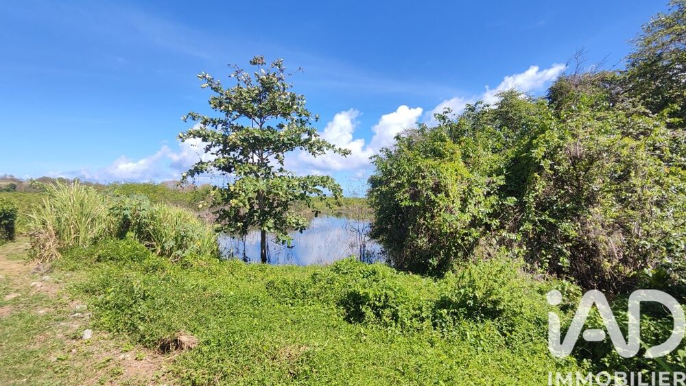 à vendre  Maison Sainte-Rose (97115)