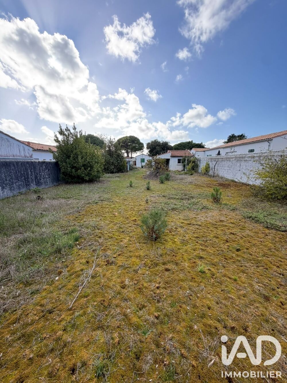 à vendre  Maison Le Bois-Plage-en-Ré (17580)