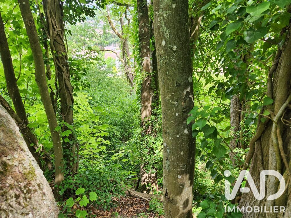 Vente Terrain Vente Terrain 2 550 m&sup2; Maule