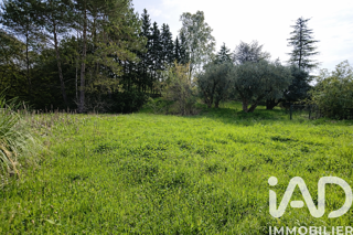 Terrain à vendre 2385 m²
