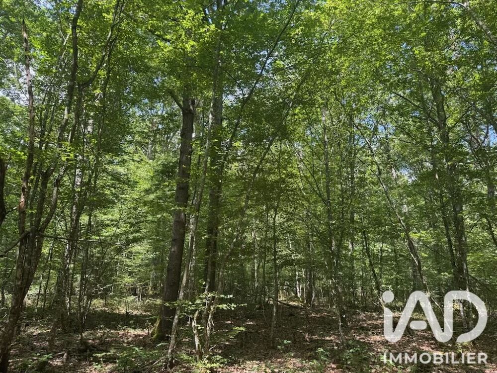 Vente Terrain Vente Surface diverse 211 447 m&sup2; Lantan
