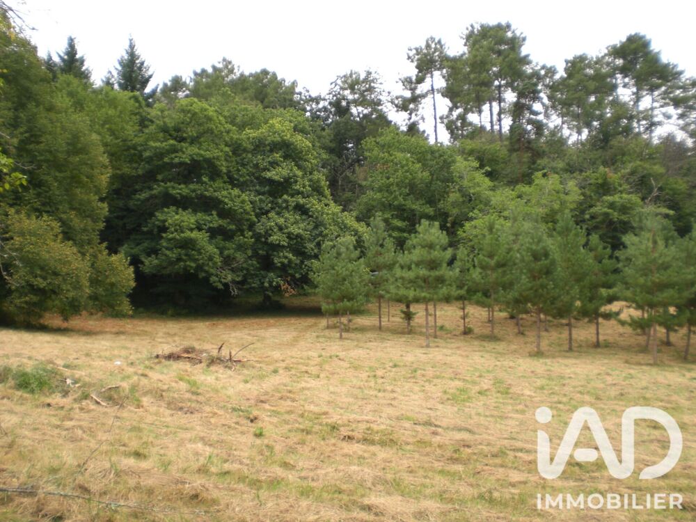 Vente Terrain Vente Terrain à bâtir 5 000 m&sup2; Campsegret