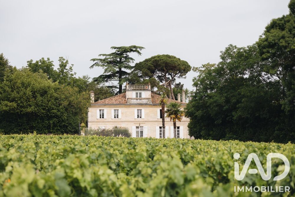 Vente Château 15 pièces