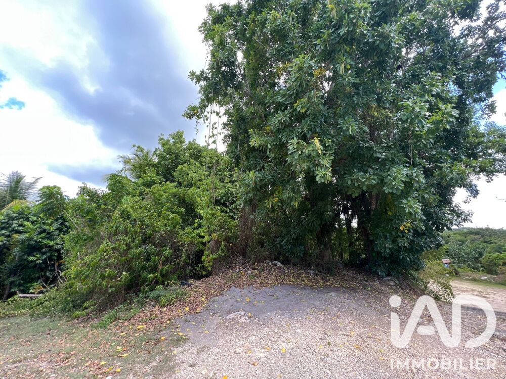 Vente Terrain Vente Terrain 532 m&sup2; Le gosier
