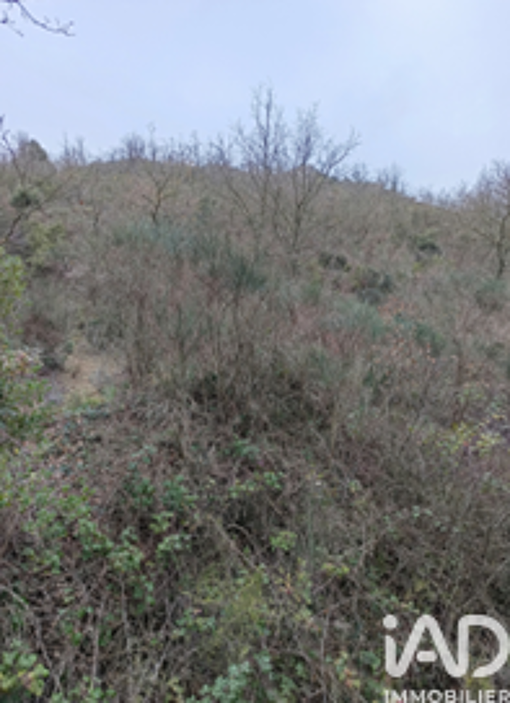 vente Terrain - 65360 m² Caramany (66720)