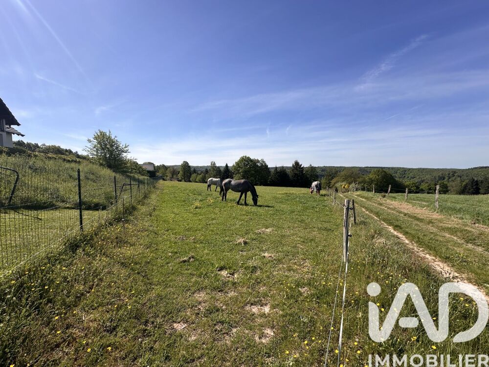 Vente Terrain Vente Terrain 4 042 m&sup2; Abreschviller