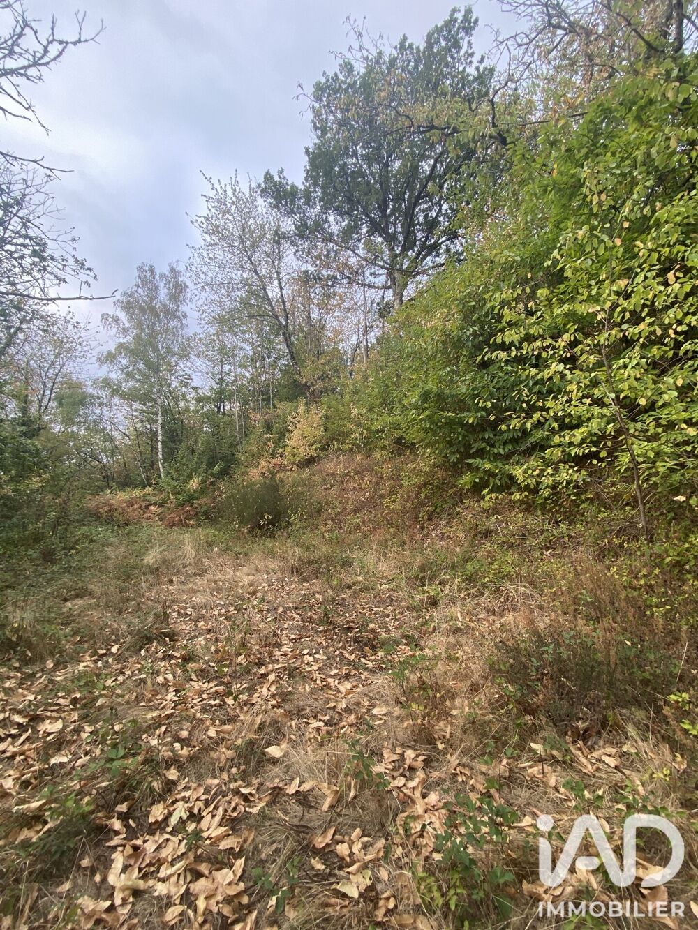 Vente Terrain Vente Terrain à bâtir 13 989 m&sup2; Pousthomy
