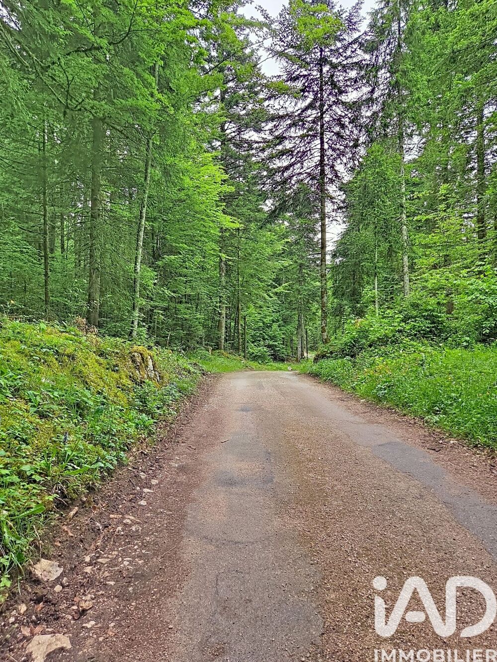 à vendre  Maison Chaux-Neuve (25240)