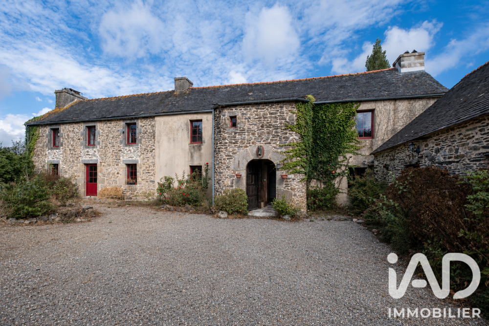 Vente Manoir 11 pièces