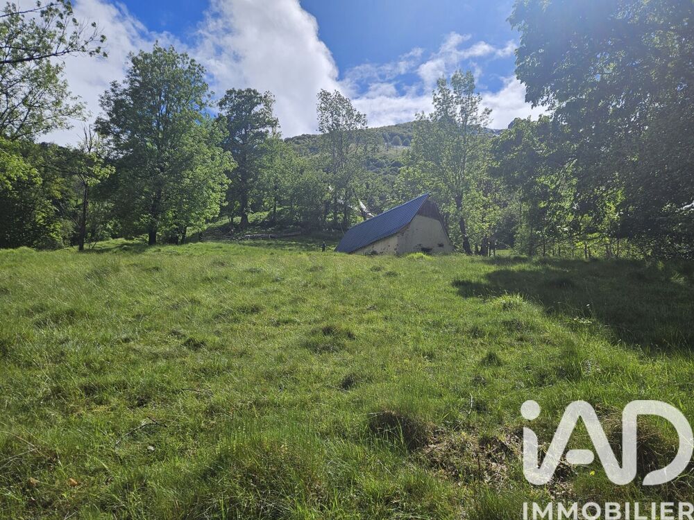 Vente Maison Vente Grange 1 pièce Arrens-marsous