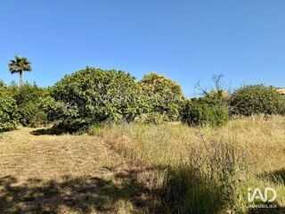  Terrain à vendre 452 m²