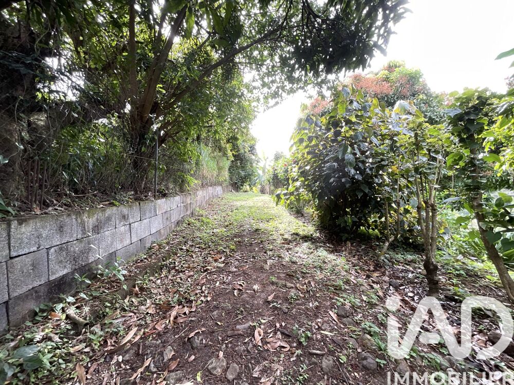 Vente Terrain Vente Terrain à bâtir 1 100 m&sup2; Le morne-vert
