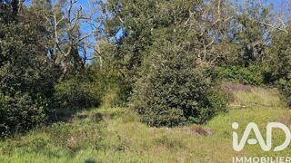  Terrain � vendre 1177 m�