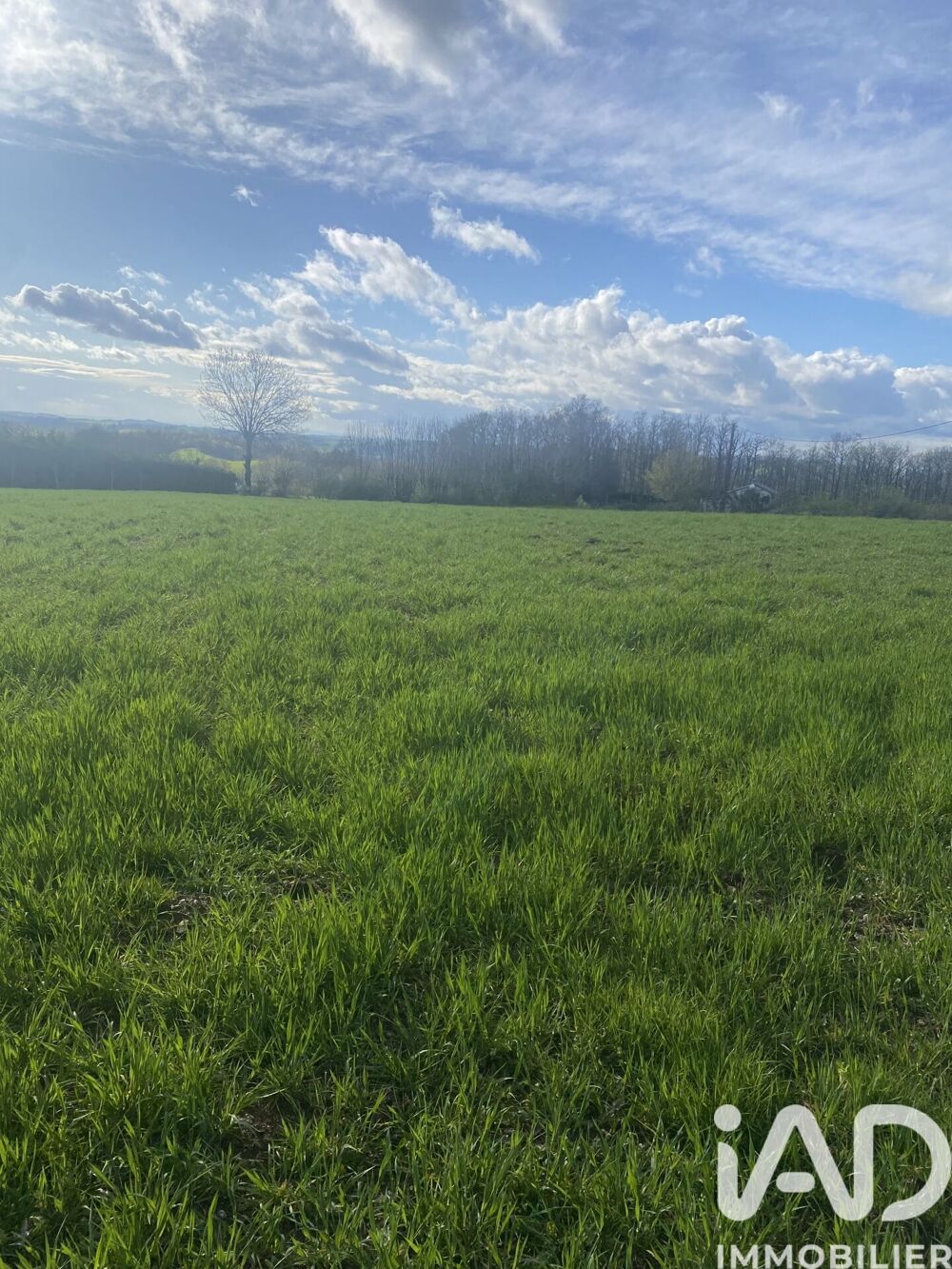 Vente Terrain Vente Terrain à bâtir 5 182 m&sup2; Saint-salvi-de-carcavès
