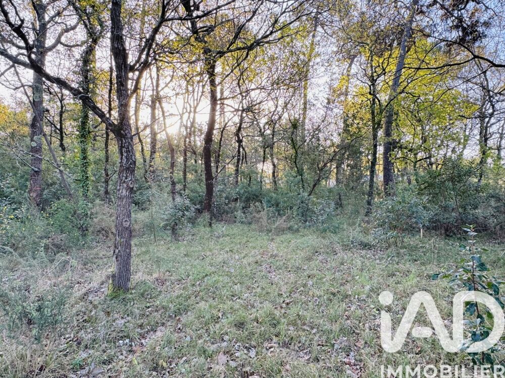 Vente Terrain Vente Terrain 985 m&sup2; Soulac-sur-mer