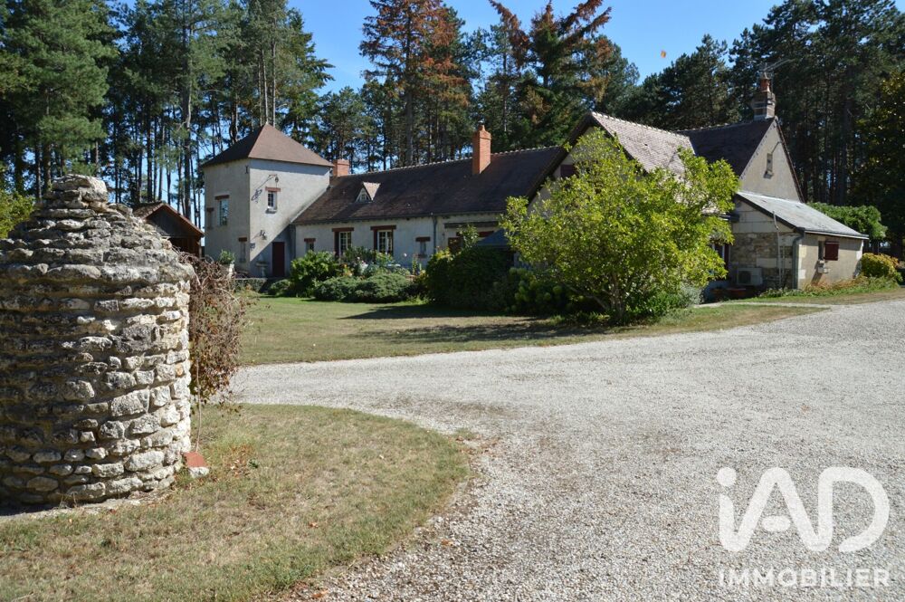 Vente Maison Vente Domaine 11 pièces Saint-georges-sur-cher