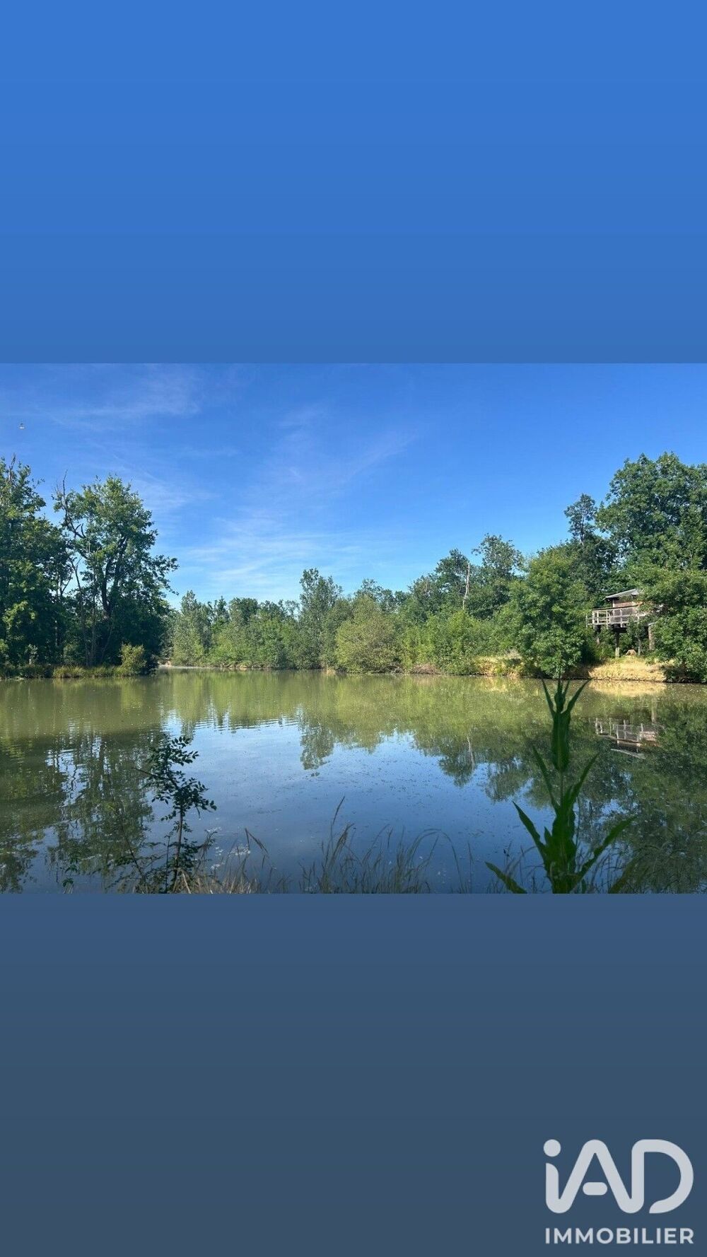 Vente Terrain Vente Surface diverse 200 000 m&sup2; Leguevin