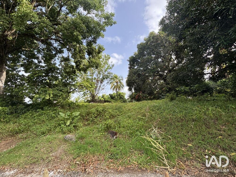 Vente Terrain Vente Terrain 2 535 m&sup2; Le lamentin