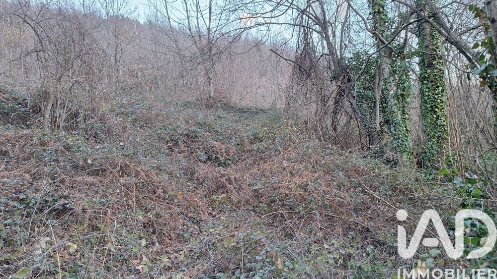 Vente Terrain Vente Terrain agricole 51 000 m&sup2; Prats-de-mollo-la-preste