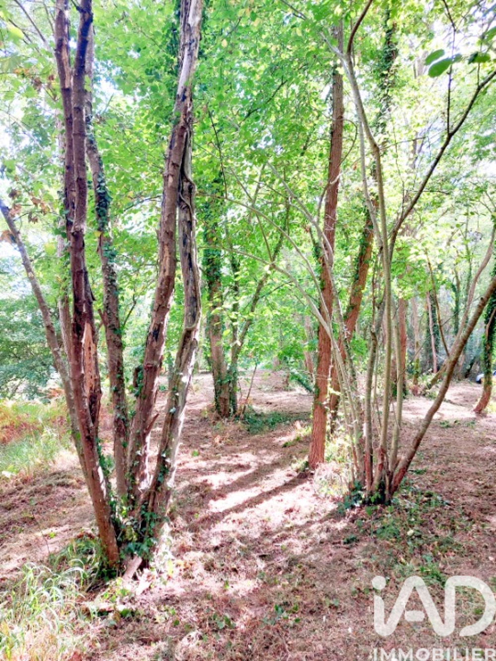 Vente Terrain Vente Terrain 7 548 m&sup2; Queaux