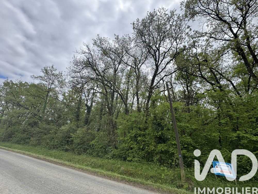 Vente Terrain Vente Terrain 3 362 m&sup2; Saint-martin-la-pallu