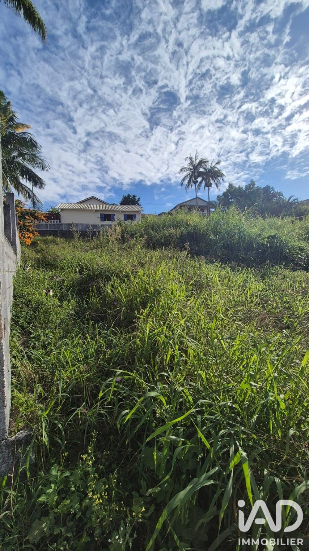 vente Terrain - 550 m² Le Tampon (97430)