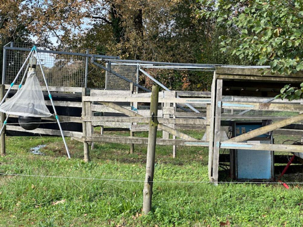 � vendre  Maison Dax (40100)