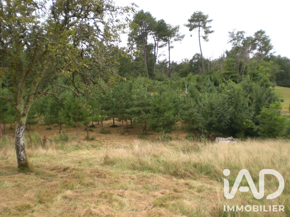 Vente Terrain Vente Terrain à bâtir 5 000 m&sup2; Campsegret